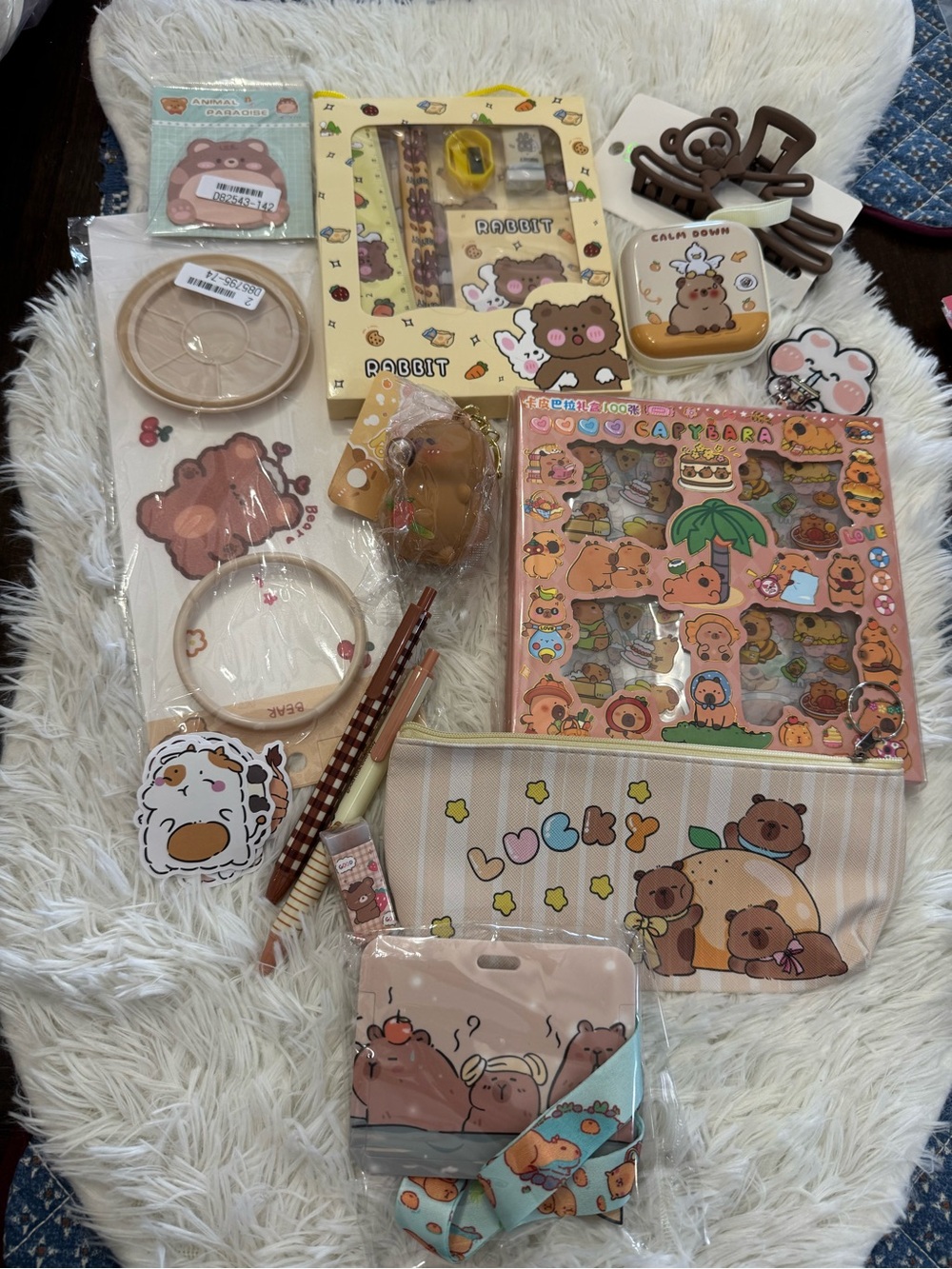 Cute capybara Stationery & accessories Bundle
